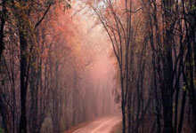 NG体育南宫体育：[国足]U17亚洲杯预选赛：中国6-0不丹 锦.