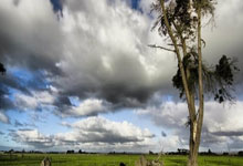 NG体育南宫体育：[图]张帅／姆拉德诺维奇不敌对手 止步澳网女双八强.