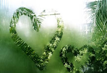 全国少数民族传统体育运动会全天综合：爱盈三亚河，友谊赛场见，亲情舞同心新华网客户端.