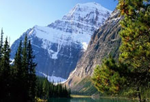 NG体育南宫体育：中国女排也有好队员：唐欣胜任接应，李晨瑄董禹含黄悦鑫是好主攻.