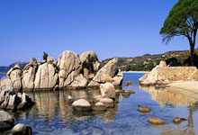 [CBA]快如闪电！黑根斯断球反击一条龙上篮.